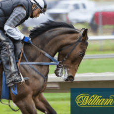 William Hill Horse Racing Betting