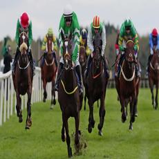 William Hill Grand National Betting Offers